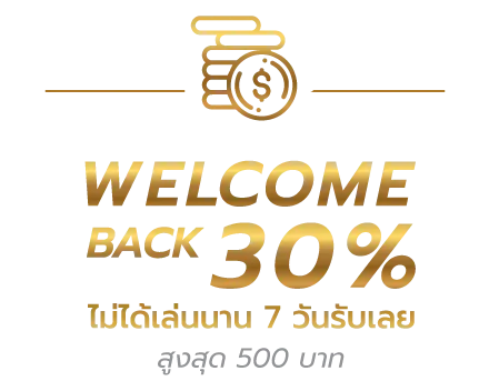 โปรโมชั่น (3)