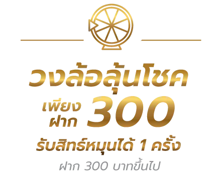 โปรโมชั่น (4)